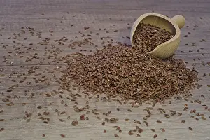 Kempen North Rhine Westphalia Drucke: Whole linseeds, tabletop, Kempen