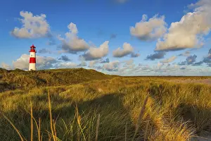 European Lighthouse Scene Drucke: The Lister lighthouse at Ellenbogen