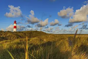 Schleswig Holstein Landscape Drucke: The Lister lighthouse at Ellenbogen