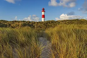 Northern Germany Lighthouse Drucke: The Lister lighthouse at Ellenbogen