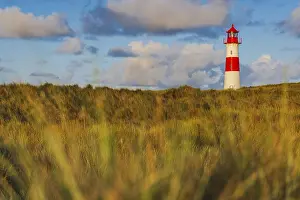 Deserted Dune Landscape Drucke: The Lister lighthouse at Ellenbogen