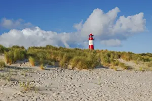 Central Europe Coastal Scenes Drucke: The Lister lighthouse at Ellenbogen