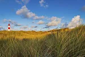 Deserted Dune Landscape Drucke: The Lister lighthouse at Ellenbogen