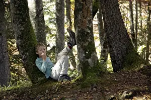 Caucasian Child In Nature Drucke: Little boy sitting between two tree trunks