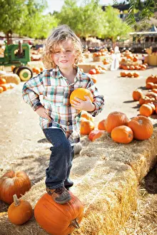 Pumpkin Patch Kids Drucke: Little Boy Standing in a Rustic Ranch Setting at the Pumpkin Patch