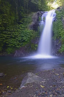 Bali Waterfalls Drucke: Little Gitgit Waterfall, Central Bali