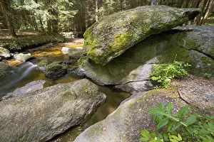 Wild River Drucke: Little stream