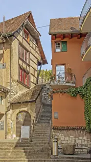 Historic Swiss Castle Drucke: Whether local or foreign