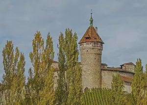 Vineyard Region Tourism Drucke: Whether local or foreign