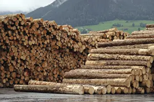 Forest Management Practices Drucke: Log storage and processing in the sawmill of Binderholz GmbH