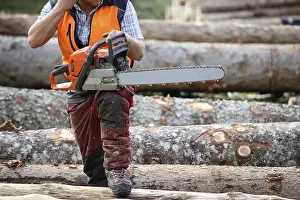 Timber Industry Europe Drucke: Logging work in the local forest