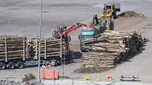 Scandinavian Harbour Scene Drucke: Logs are loaded onto large trailers