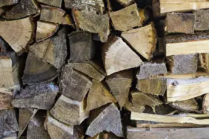 Woodpile Detail Drucke: Logs, stacked up
