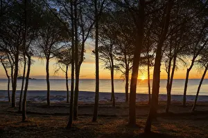 Drucke von Ein einsamer Sandstrand und ein Kiefernwald, Spiaggia di Isula Manna, Sonnenaufgang, Santa Maria Navarrese, Nationalpark Golf von Orosei, Baunei, Nuoro, Sardinien, Italien Nuoro Drucke: Ein einsamer Sandstrand und ein Kiefernwald.