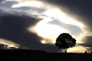 Dramatic Sky Europe Drucke: Lonely tree in front of a dramatic sky