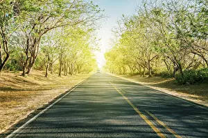 Long Distance Traffic View Drucke: Long asphalt road surrounded by trees