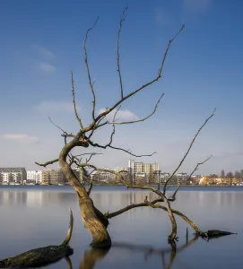 Time Exposure Photography Technique Drucke: Long exposure, withered tree in water