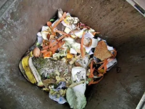 Organic Waste Management Drucke: Looking into the organic dustbin