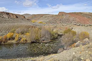 Deserted River Scenery Drucke: Loop of the Big Lost River, Big Lost River Valley