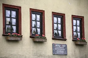 Deserted German House Drucke: Loreley House