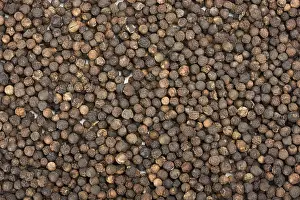 Spicy Food Ingredients Drucke: A lot of peppercorns useful as background