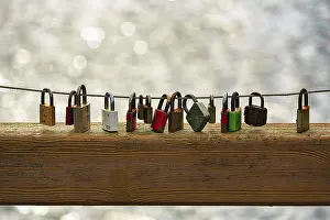 Love Locks Germany Drucke: Love locks on the bridge railing