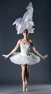 Young Ballet Dancer Drucke: Lovely young ballet dancer posing in studio