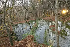 Central European Fall Colors Drucke: Low sun illuminates the rocks
