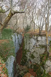 Autumn Mood In Nature Drucke: Low sun illuminates the rocks