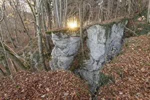 Germany Autumn Landscapes Drucke: Low sun illuminates the rocks