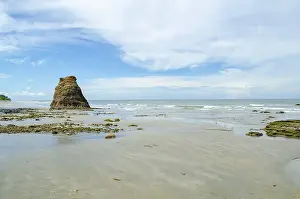 Southeast Asia Coastal Area Drucke: Low tide coastal view with a sea stack