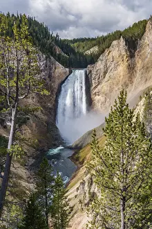 Yellowstone Waterfall Drucke: Lower Falls, waterfall in a gorge