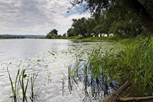 East Germany Landscapes Drucke: Lower Oder Valley National Park