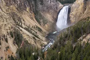 Wyoming Landscape Photography Drucke: Lower Yellowstone Falls