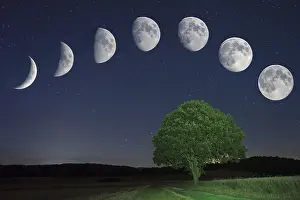 Nocturnal Landscape Photography Drucke: Lunar cycle with oak (Quercus)