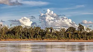 Bolivia Landscape Photography Drucke: Lush forest with river in the foreground and dramatic sky