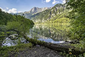 Switzerland Lake Scenery Drucke: Lying tree trunk juts into the Klontalersee