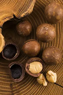 Edible Nuts Drucke: Macadamia nuts