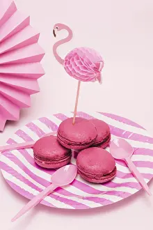 Colorful Desserts Drucke: Macarons