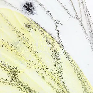 Studio Shot Of A Butterfly Drucke: Macro on a Cabbage butterfly wing