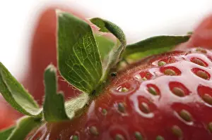 Strawberry Detail View Drucke: Macro of fresh strawberry