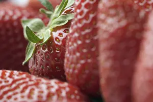 Fruit Photography Studio Drucke: Macro of fresh strawberry