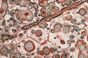 Decorative Rock Formation Drucke: Macro image of Leopard Skin Jasper
