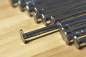 Wood Background Drucke: Macro of nails on a wood background