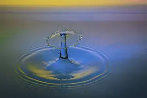Water Drop Details Drucke: Macro Water Drop