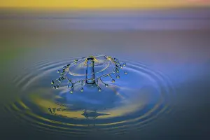 Macro Water Drop Drucke: Macro Water Drop