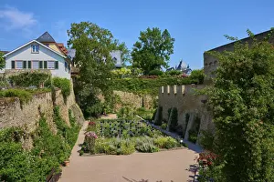 Eltville Am Rhein Germany Drucke: Well maintained garden with flowers and trees
