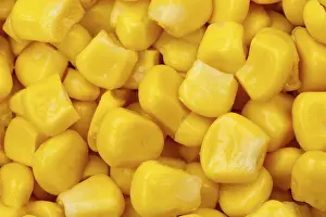 Fresh Organic Vegetables Drucke: Maize Cereals Vegetables from above