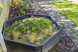 Waste Separation Techniques Drucke: Making compost in composting bin in small garden