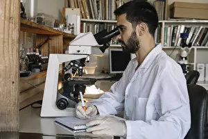 University Graduate Research Drucke: Male scientist looking under microscope